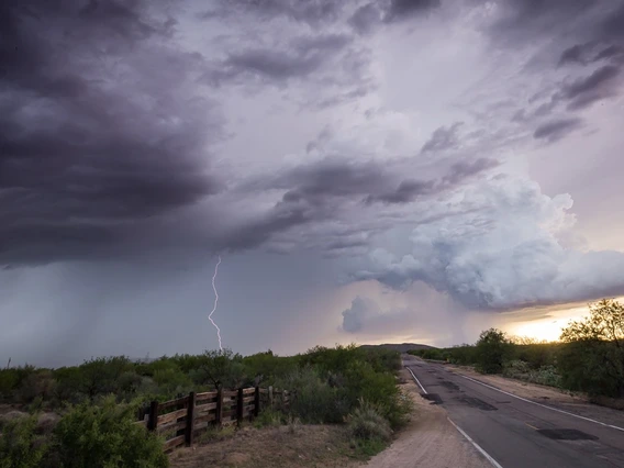 A two-lane road leads toward the horizon through a field of lush Southwestern plant life as storm clouds gather overhead. In the distance, rain and lightning can be seen.